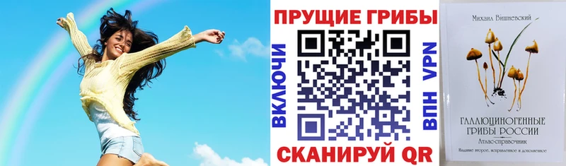 Галлюциногенные грибы Psilocybine cubensis Сосновый Бор