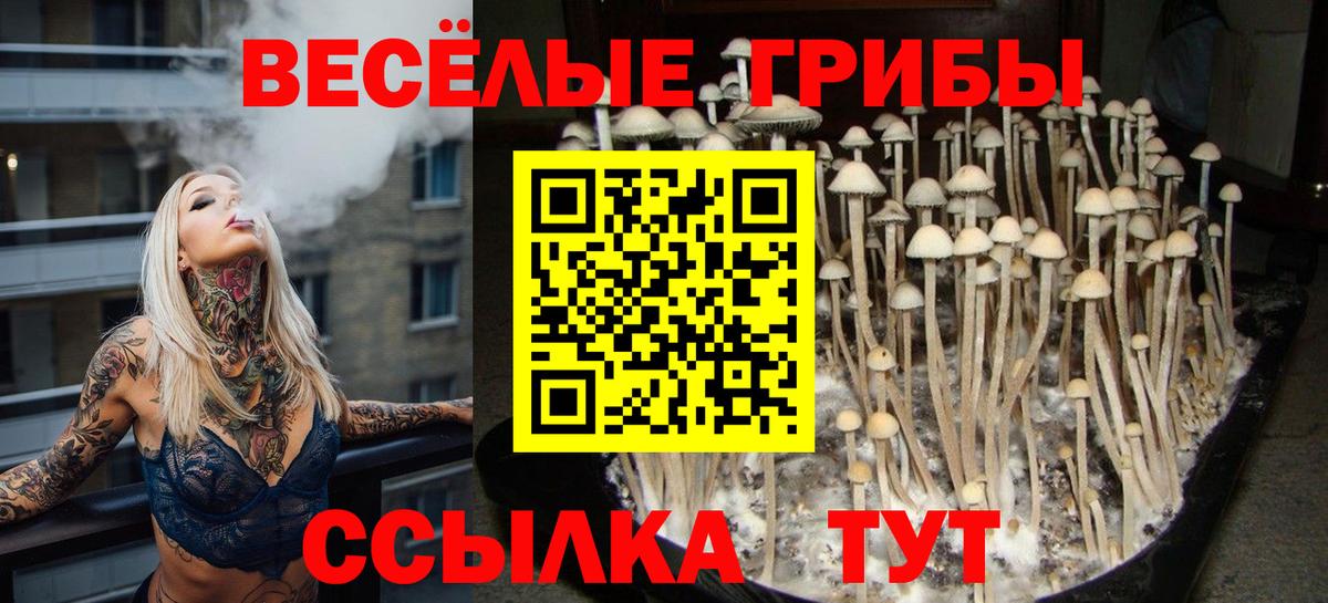 Галлюциногенные грибы Magic Shrooms  Галлюциногенные грибы прущие грибы  Сосновый Бор  Вход с VPN 