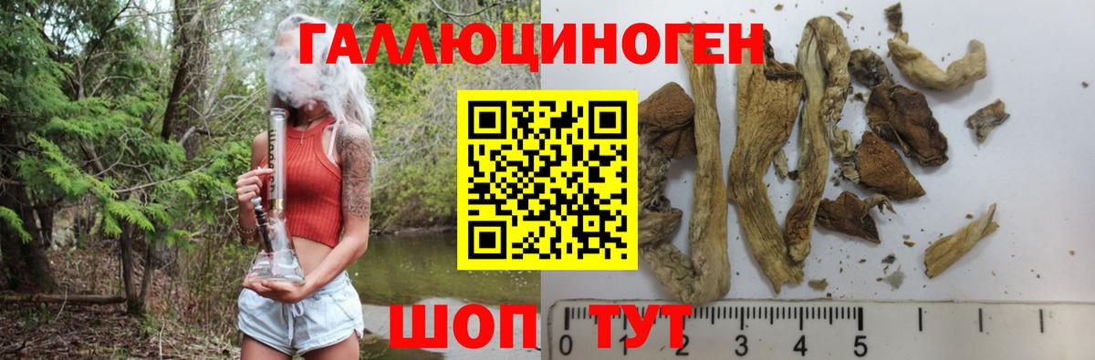 Галлюциногенные грибы прущие грибы  Сосновый Бор  Галлюциногенные грибы Cubensis 